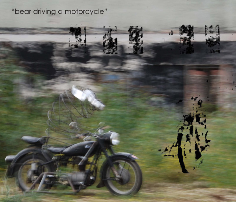 bear driving a motorcycle, Michael Toepffer, Mitokg